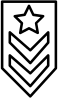 Verteran owned icon